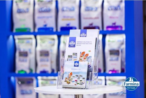 衡水新聞網(wǎng)